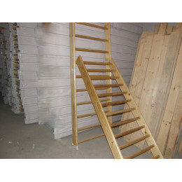 Лестница приставная 400x2500 мм, с зацепами (к шведской стенке)